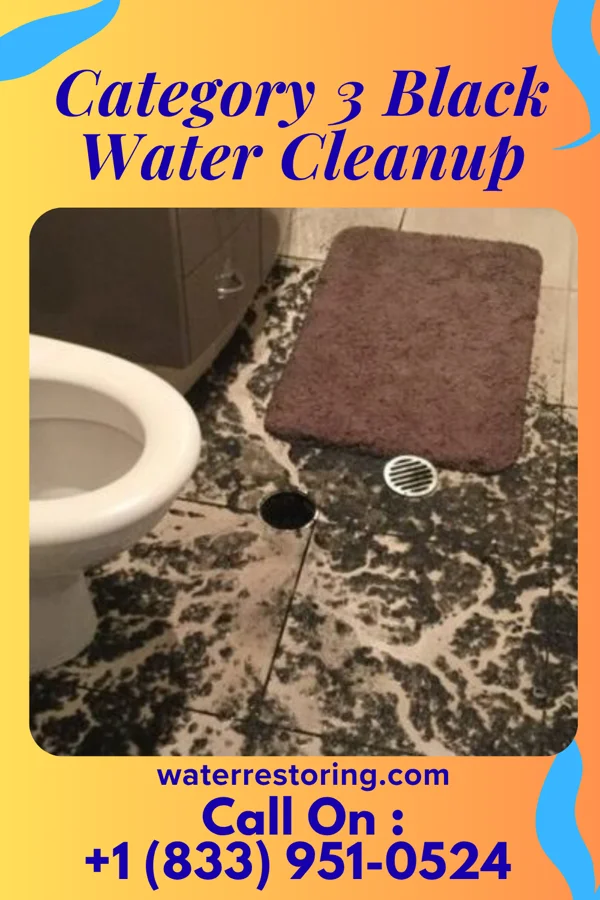 Category 3 Black Water Cleanup in South Amherst, OH