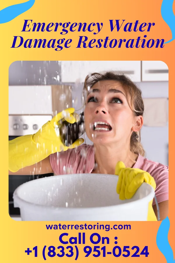 Emergency Water Damage Restoration in South Amherst, OH