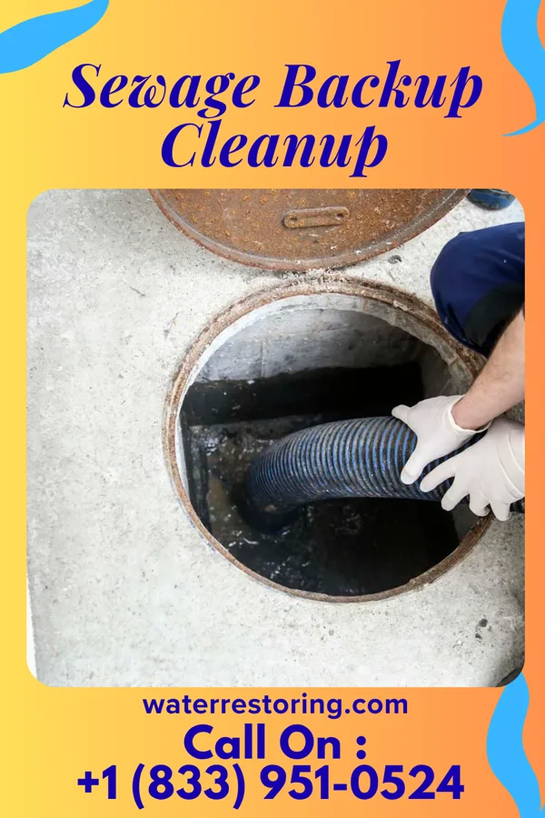 Sewage Backup Cleanup in South Amherst, OH