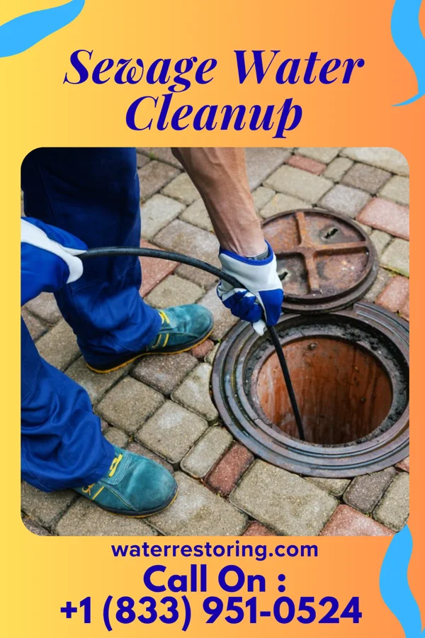 Sewage Water Cleanup in South Amherst, OH