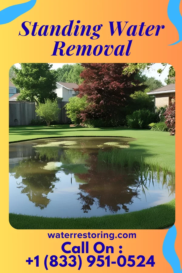 Standing Water Removal in South Amherst, OH